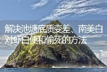 解决池塘底质变差、南美白对虾白便和偷死的方法