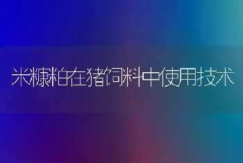 米糠粕在猪饲料中使用技术