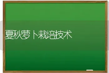 乌骨羊的饲养管理技术