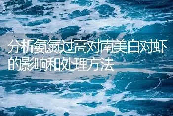 分析氨氮过高对南美白对虾的影响和处理方法