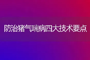 防治猪气喘病四大技术要点