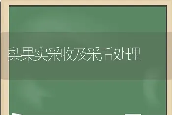 猪消化不良咋治