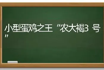 小型蛋鸡之王“农大褐3号”