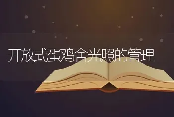 开放式蛋鸡舍光照的管理