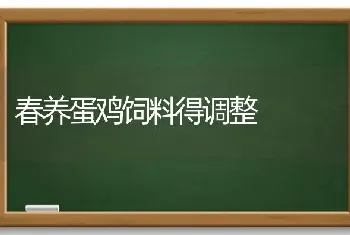 春养蛋鸡饲料得调整