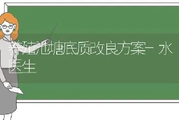 养殖池塘底质改良方案-水医生