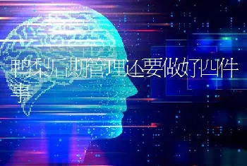 鸭梨后期管理还要做好四件事