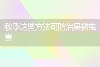 鱼病的发现与诊断技术