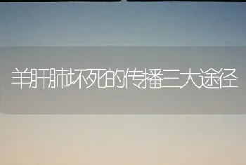 羊肝肺坏死的传播三大途径