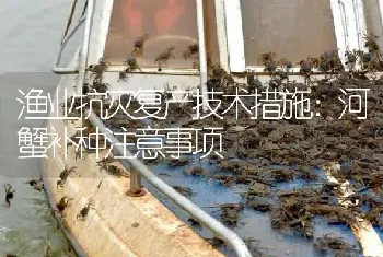 渔业抗灾复产技术措施：河蟹补种注意事项