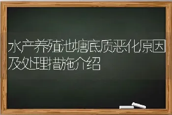 水产养殖池塘底质恶化原因及处理措施介绍