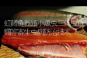 虹鳟鱼养殖小瓜虫三代虫鱼鲺等寄生虫病防治技术