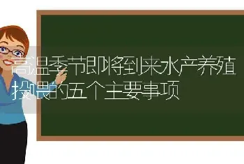 高温季节即将到来水产养殖投喂的五个主要事项