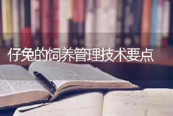 仔兔的饲养管理技术要点