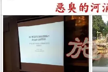 精耕细作！土池养南美白对虾依旧是一个越养越顺手的聚宝盆