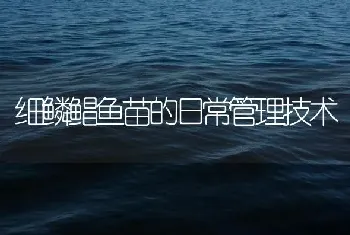 细鳞鲳鱼苗的日常管理技术