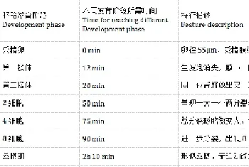 熊本牡蛎(crassostrea sikamea)人工繁育技术研究