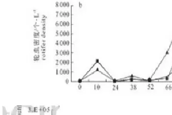 外塘南美白对虾养殖的一些基础数据