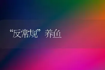 “反常规”养鱼