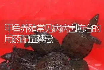 甲鱼养殖常见病病害防治的用药配伍禁忌