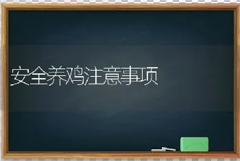 安全养鸡注意事项