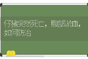 仔猪突然死亡,腹部淤血,如何防治