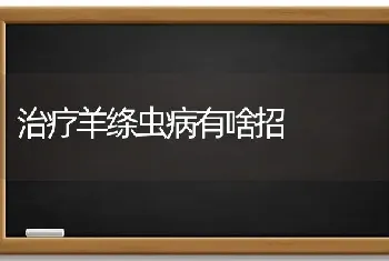 治疗羊绦虫病有啥招