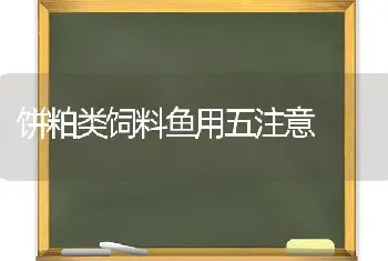 饼粕类饲料鱼用五注意