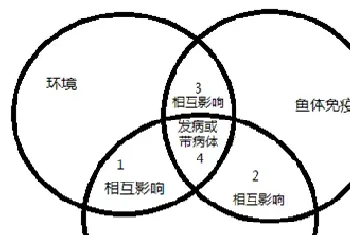 河蟹养殖第五壳管理重点