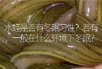 水蛭是否有冬眠习性?若有,一般在什么环境下冬眠?