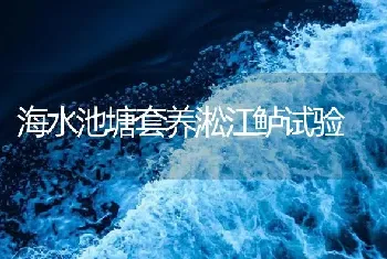 海水池塘套养淞江鲈试验