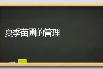 春季仔猪饲养技术应该“一喂四补”