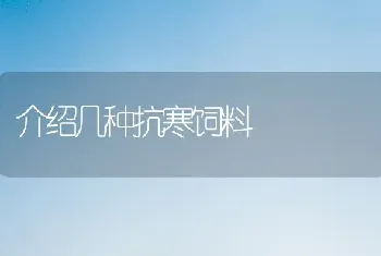 介绍几种抗寒饲料