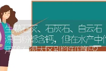 生熟石灰、石灰石、白云石漂白粉都含钙,但在水产中作用确有很大区别您知道吗?