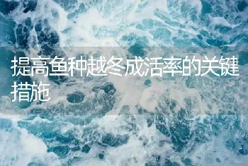 提高鱼种越冬成活率的关键措施