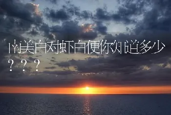 南美白对虾白便你知道多少???