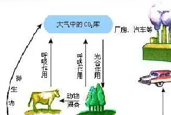 微生物在水产养殖生态环境中的地位与作用