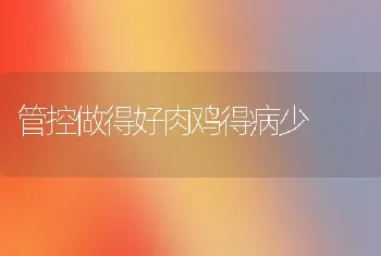 管控做得好肉鸡得病少