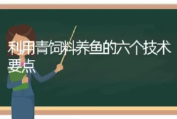 利用青饲料养鱼的六个技术要点