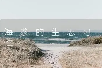 海 参 的 生 态 习 性