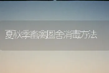 夏秋季畜禽圈舍消毒方法