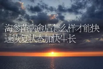 海参苗病愈后怎么样才能快速恢复状态加快生长