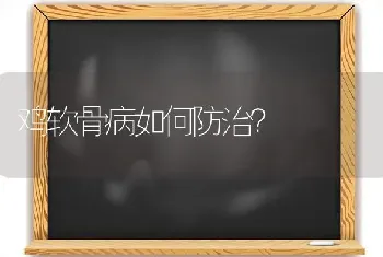 鸡软骨病如何防治?