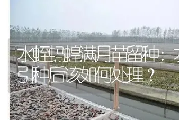 水蛭蚂蝗满月苗留种：水蛭引种后该如何处理?