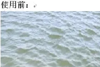 海蜇养殖池塘肥水处理案例分享