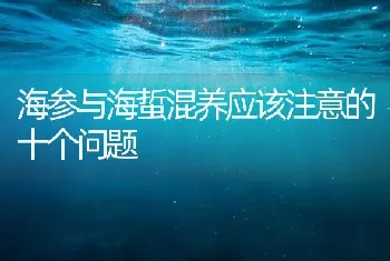 海参与海蜇混养应该注意的十个问题