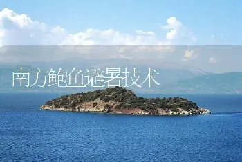 南方鲍鱼避暑技术