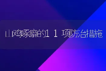 山鸡啄癖的11项防治措施