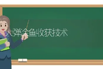 大弹涂鱼收获技术