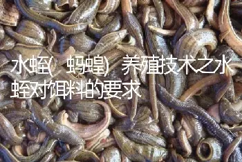 水蛭(蚂蝗)养殖技术之水蛭对饵料的要求